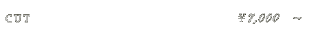 カット 7,000円～
