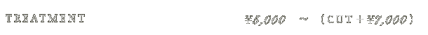 トリートメント 5,000円～(カット＋7,000円)